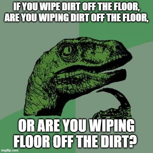 Philosoraptor Meme | IF YOU WIPE DIRT OFF THE FLOOR, ARE YOU WIPING DIRT OFF THE FLOOR, OR ARE YOU WIPING FLOOR OFF THE DIRT? | image tagged in memes,philosoraptor | made w/ Imgflip meme maker