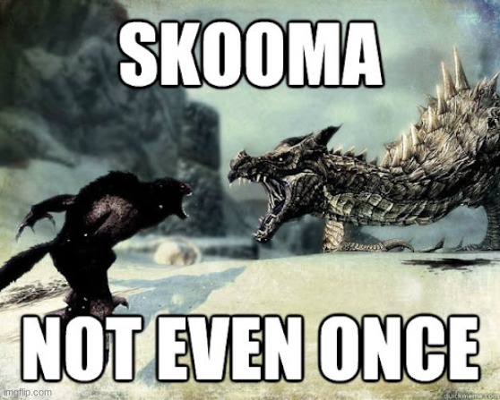 Werewolf vs Dragon be like | image tagged in dragon,vs,werewolf,skyrim,skyrim meme | made w/ Imgflip meme maker