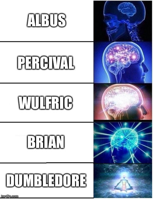 Dumbledore What A Long Name- | ALBUS; PERCIVAL; WULFRIC; BRIAN; DUMBLEDORE | image tagged in expanding brain 5 panel | made w/ Imgflip meme maker