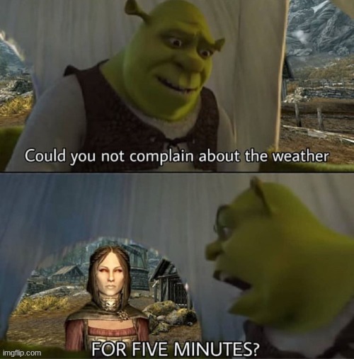 This is why I use console commands so I don't need followers. | image tagged in shrek for five minutes,skyrim meme,skyrim | made w/ Imgflip meme maker