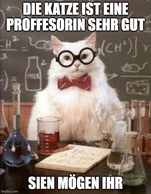 Cat Professor(Katze Professorin in German) | DIE KATZE IST EINE PROFFESORIN SEHR GUT; SIEN MÖGEN IHR | image tagged in smart cat | made w/ Imgflip meme maker