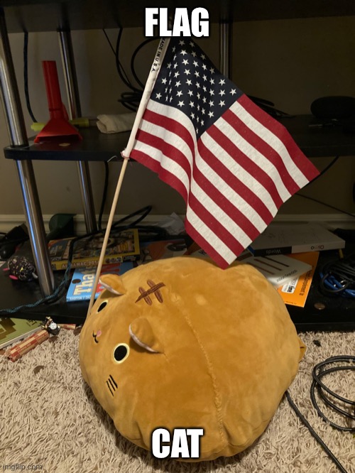 Flag cat | FLAG; CAT | image tagged in meow | made w/ Imgflip meme maker