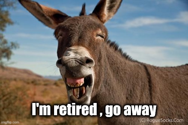 Donkey Jackass Braying | I'm retired , go away | image tagged in donkey jackass braying | made w/ Imgflip meme maker