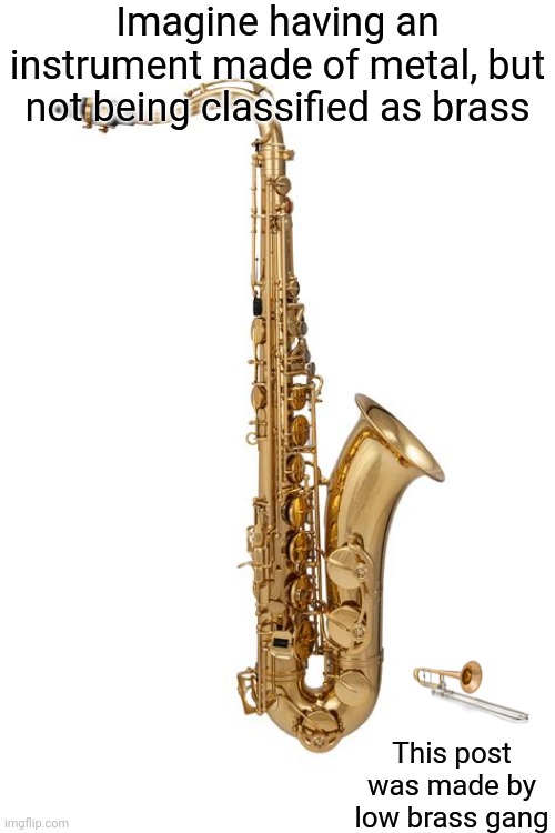 Imagine having an instrument made of metal, but not being classified as brass; This post was made by low brass gang | image tagged in music | made w/ Imgflip meme maker