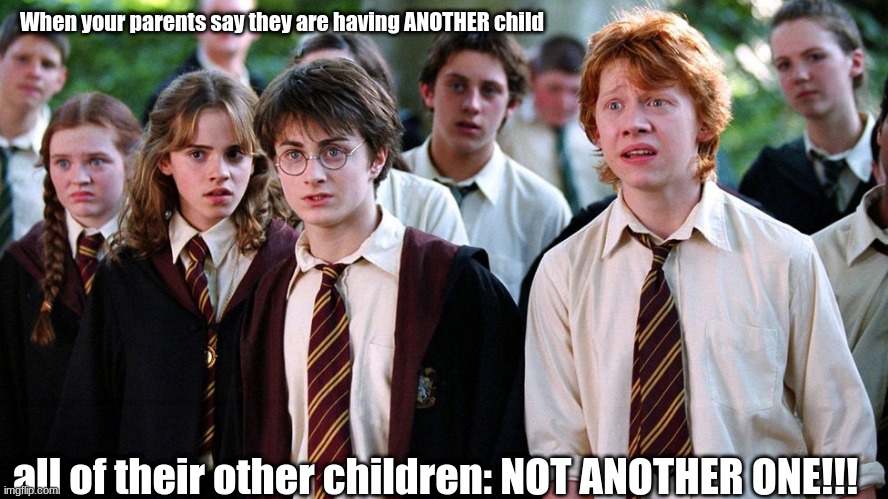 When your parents say they are having ANOTHER child; all of their other children: NOT ANOTHER ONE!!! | image tagged in harry potter | made w/ Imgflip meme maker
