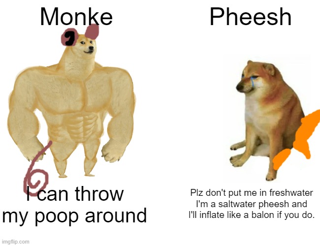 Monke vs Pheesh | Monke; Pheesh; I can throw my poop around; Plz don't put me in freshwater I'm a saltwater pheesh and I'll inflate like a balon if you do. | image tagged in memes,buff doge vs cheems,monkey,fish | made w/ Imgflip meme maker