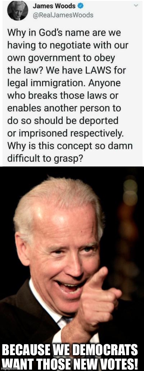 Illegal immigration+Amnesty=Millions of new Democrat votes. | BECAUSE WE DEMOCRATS WANT THOSE NEW VOTES! | image tagged in memes,joe biden,illegal immigration,illegal aliens,liberal logic,votes | made w/ Imgflip meme maker