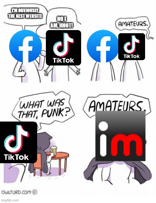 facebook more like fakebook | I'M OBVIOUSLY THE BEST WEBSITE; NO I AM, IDIOT! | image tagged in amateurs,imgflip,tiktok,facebook,why are you reading the tags,stop reading the tags | made w/ Imgflip meme maker