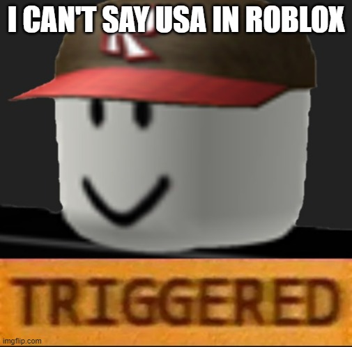 Gee, wonder why I can't say the name of the Country's simplified version name | I CAN'T SAY USA IN ROBLOX | image tagged in roblox triggered | made w/ Imgflip meme maker