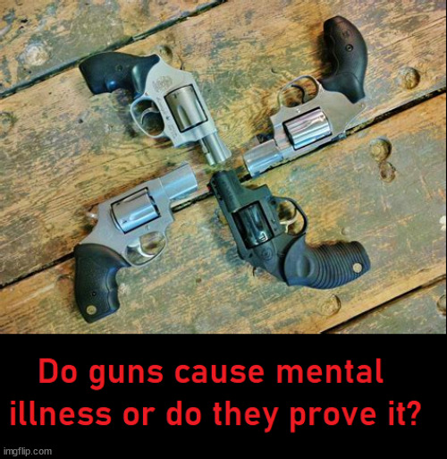 Mentally ill | image tagged in nra,guns,murder,2nd amendment | made w/ Imgflip meme maker