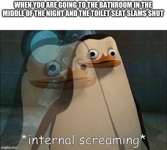 REEEEEEEEEee | WHEN YOU ARE GOING TO THE BATHROOM IN THE
MIDDLE OF THE NIGHT AND THE TOILET SEAT SLAMS SHUT | image tagged in private internal screaming | made w/ Imgflip meme maker