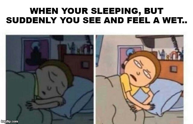 wet, f**king wet dreams, i hate it, f**k it | WHEN YOUR SLEEPING, BUT SUDDENLY YOU SEE AND FEEL A WET.. | image tagged in morty waking up,wet dream,gifs,memes | made w/ Imgflip meme maker