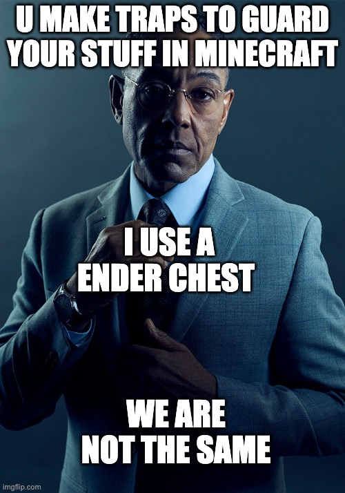 pointless | U MAKE TRAPS TO GUARD YOUR STUFF IN MINECRAFT; I USE A ENDER CHEST; WE ARE NOT THE SAME | image tagged in gus fring we are not the same,minecraft,funny,trap | made w/ Imgflip meme maker