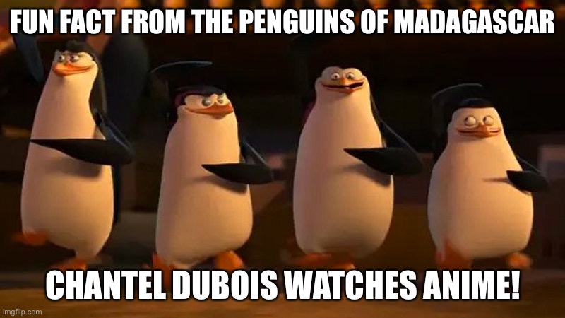 penguins of madagascar | FUN FACT FROM THE PENGUINS OF MADAGASCAR CHANTEL DUBOIS WATCHES ANIME! | image tagged in penguins of madagascar | made w/ Imgflip meme maker
