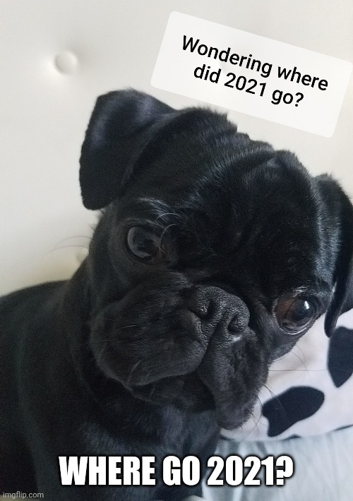 Almost 2022! | WHERE GO 2021? | image tagged in 2021,2022 | made w/ Imgflip meme maker