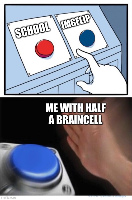 More like a third a braincell | IMGFLIP; SCHOOL; ME WITH HALF A BRAINCELL | image tagged in oof,boardroom meeting suggestion | made w/ Imgflip meme maker