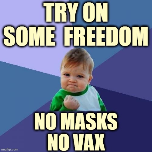 Success Kid Meme | TRY ON SOME  FREEDOM NO MASKS
NO VAX | image tagged in memes,success kid | made w/ Imgflip meme maker