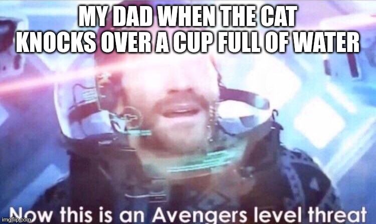 On no the carpet is wet | MY DAD WHEN THE CAT KNOCKS OVER A CUP FULL OF WATER | image tagged in now this is an avengers level threat,cats,dad | made w/ Imgflip meme maker
