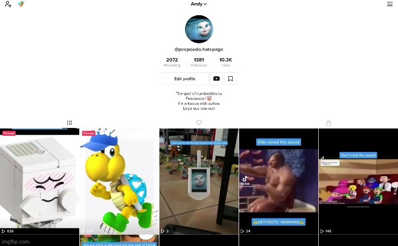 My TikTok account | image tagged in tiktok | made w/ Imgflip meme maker