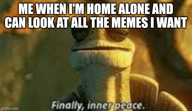 Finally, inner peace | ME WHEN I'M HOME ALONE AND CAN LOOK AT ALL THE MEMES I WANT | image tagged in finally inner peace | made w/ Imgflip meme maker