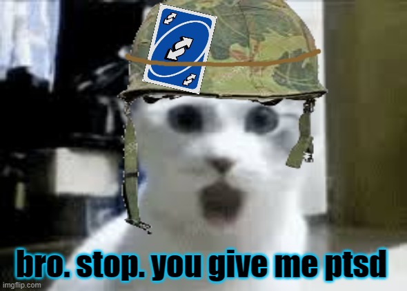 dude stop | bro. stop. you give me ptsd | image tagged in meme comments,vietnam,flashback,stop,cats,funny | made w/ Imgflip meme maker