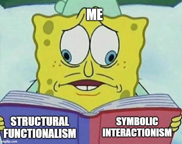 cross eyed spongebob | ME; SYMBOLIC INTERACTIONISM; STRUCTURAL FUNCTIONALISM | image tagged in cross eyed spongebob | made w/ Imgflip meme maker