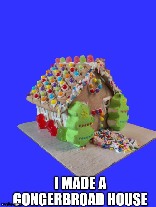 I MADE A GONGERBROAD HOUSE | made w/ Imgflip meme maker