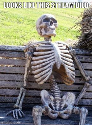 Waiting Skeleton | LOOKS LIKE THIS STREAM DIED | image tagged in memes,waiting skeleton | made w/ Imgflip meme maker