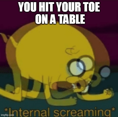 Jake The Dog Internal Screaming | YOU HIT YOUR TOE
 ON A TABLE | image tagged in jake the dog internal screaming | made w/ Imgflip meme maker