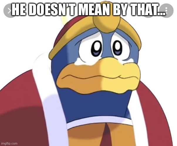 King Dedede sad | HE DOESN’T MEAN BY THAT… | image tagged in king dedede sad | made w/ Imgflip meme maker