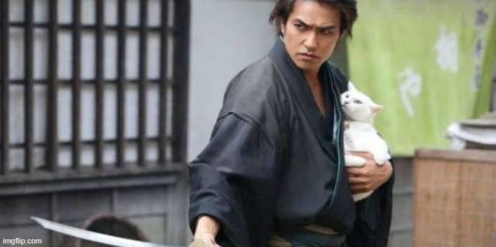 protecc the cat | image tagged in samurai holding cat and sword | made w/ Imgflip meme maker