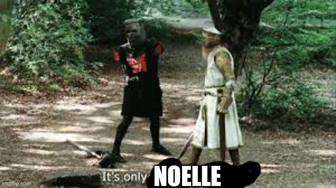 It's Just a Flesh Wound | NOELLE | image tagged in it's just a flesh wound | made w/ Imgflip meme maker