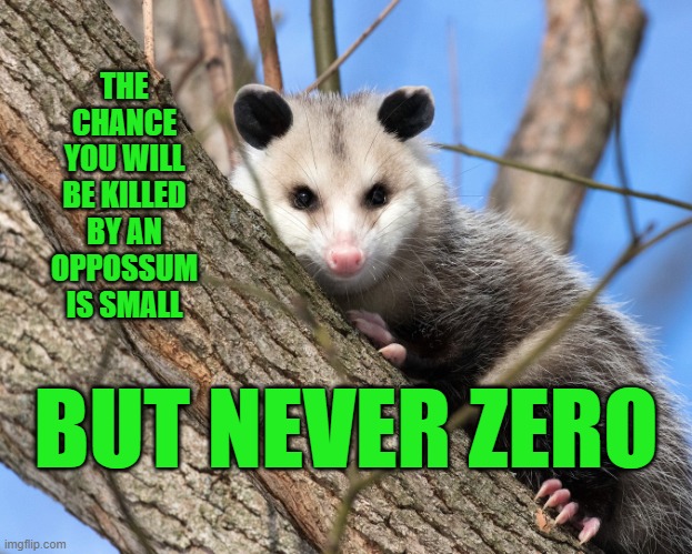 Opossum | THE CHANCE YOU WILL BE KILLED BY AN OPPOSSUM IS SMALL; BUT NEVER ZERO | image tagged in opossum,memes | made w/ Imgflip meme maker