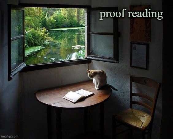 proof reading | made w/ Imgflip meme maker