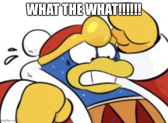 King Dedede Scared | WHAT THE WHAT!!!!!! | image tagged in king dedede scared | made w/ Imgflip meme maker