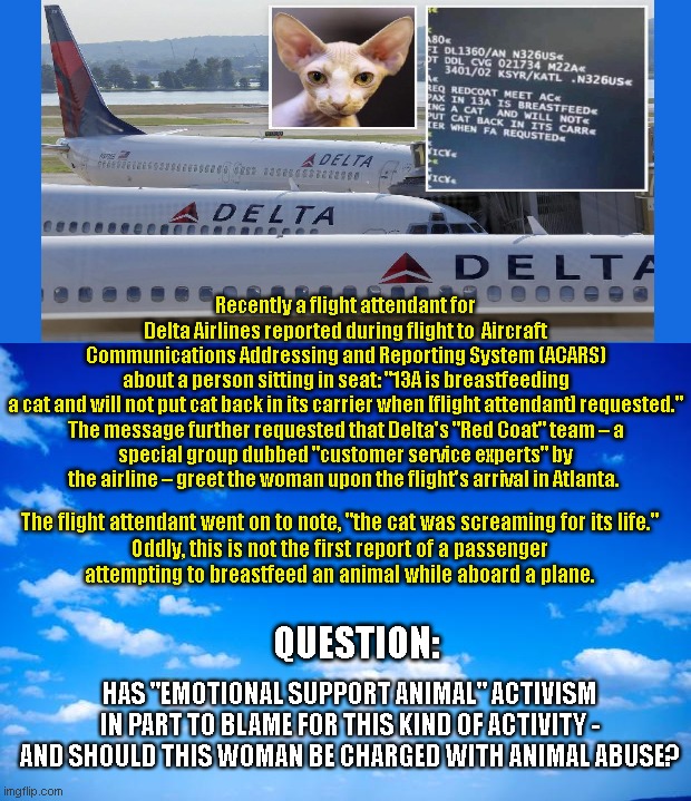About the passenger that forcibly breastfed her cat aboard a Delta flight | Recently a flight attendant for Delta Airlines reported during flight to  Aircraft Communications Addressing and Reporting System (ACARS) about a person sitting in seat: "13A is breastfeeding a cat and will not put cat back in its carrier when [flight attendant] requested."

The message further requested that Delta's "Red Coat" team – a special group dubbed "customer service experts" by the airline – greet the woman upon the flight's arrival in Atlanta. The flight attendant went on to note, "the cat was screaming for its life."

Oddly, this is not the first report of a passenger attempting to breastfeed an animal while aboard a plane. QUESTION:; HAS "EMOTIONAL SUPPORT ANIMAL" ACTIVISM IN PART TO BLAME FOR THIS KIND OF ACTIVITY - AND SHOULD THIS WOMAN BE CHARGED WITH ANIMAL ABUSE? | image tagged in breastfeeding cat,delta flight,weird people,animal rights,wtf,emotional support animals | made w/ Imgflip meme maker