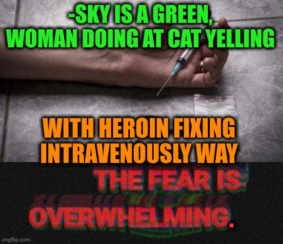 -Right read. | -SKY IS A GREEN, WOMAN DOING AT CAT YELLING; WITH HEROIN FIXING INTRAVENOUSLY WAY; . | image tagged in heroin,don't do drugs,woman yelling at cat,so true memes,verse,you can't fix stupid | made w/ Imgflip meme maker