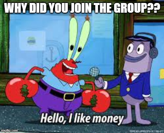 MrKrabmeme | WHY DID YOU JOIN THE GROUP?? | image tagged in mr krabs i like money | made w/ Imgflip meme maker