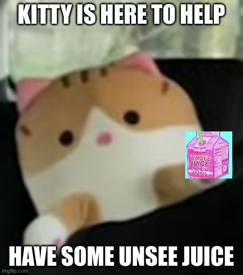 KITTY IS HERE TO HELP; HAVE SOME UNSEE JUICE | made w/ Imgflip meme maker