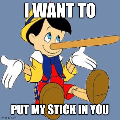 Pinocchio | I WANT TO; PUT MY STICK IN YOU | image tagged in pinocchio | made w/ Imgflip meme maker