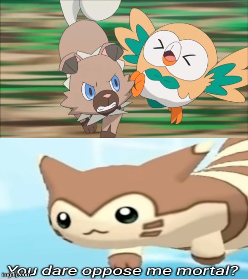 ...... | image tagged in rockruff attacks rowlet,furret,you dare oppose me mortal,memes | made w/ Imgflip meme maker