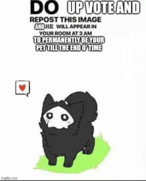OMG YESS FLOOFY PURO | image tagged in reposts are awesome,repost,cute,puro | made w/ Imgflip meme maker