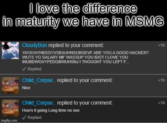:) | I love the difference in maturity we have in MSMG | made w/ Imgflip meme maker