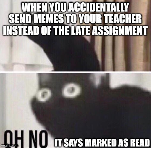 I had no clever title | WHEN YOU ACCIDENTALLY SEND MEMES TO YOUR TEACHER INSTEAD OF THE LATE ASSIGNMENT; IT SAYS MARKED AS READ | image tagged in oh no cat,memes,school,clean,cat | made w/ Imgflip meme maker