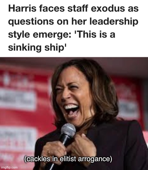 Less popular than Dick Chaney | (cackles in elitist arrogance) | image tagged in politics lol,memes | made w/ Imgflip meme maker