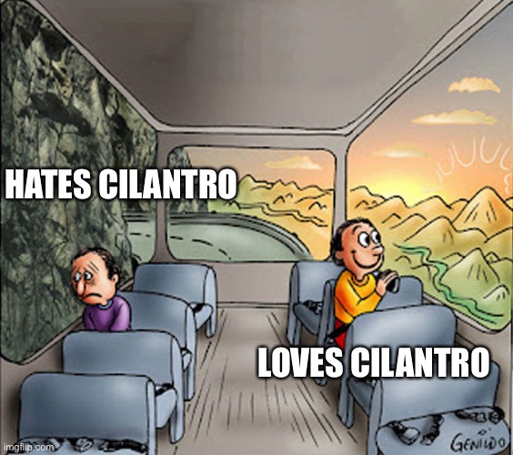 Mmmm, cilantro | HATES CILANTRO; LOVES CILANTRO | image tagged in two guys on a bus,food memes,foodie | made w/ Imgflip meme maker