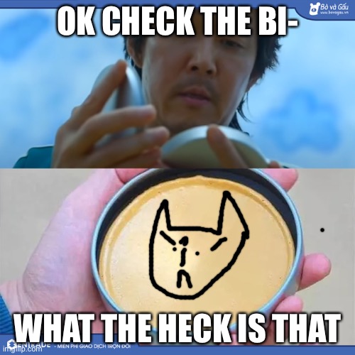 Squid Game | OK CHECK THE BI-; WHAT THE HECK IS THAT | image tagged in squid game | made w/ Imgflip meme maker
