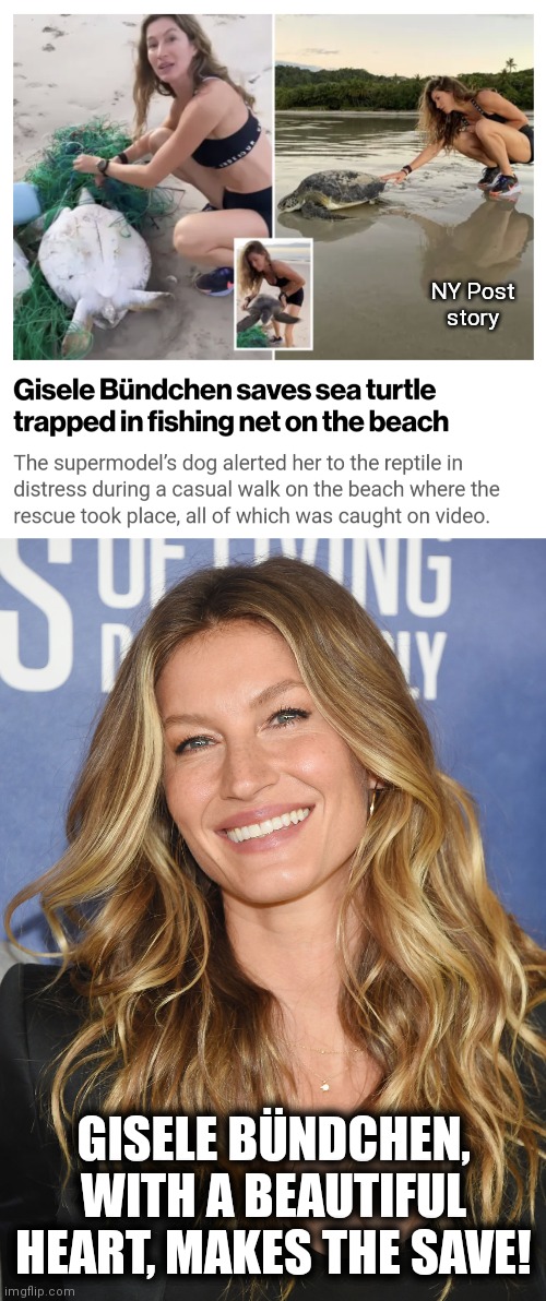 The little things are important! | NY Post
story; GISELE BÜNDCHEN, WITH A BEAUTIFUL HEART, MAKES THE SAVE! | image tagged in memes,gisele bundchen,sea turtle,save,beach,walk | made w/ Imgflip meme maker