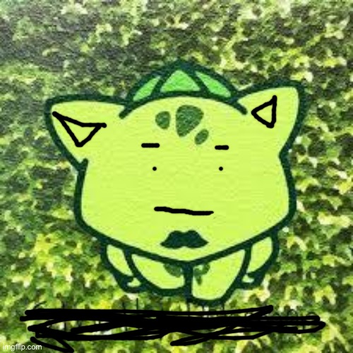 Bulbasaur, draw your own face! | image tagged in bulbasaur draw your own face | made w/ Imgflip meme maker
