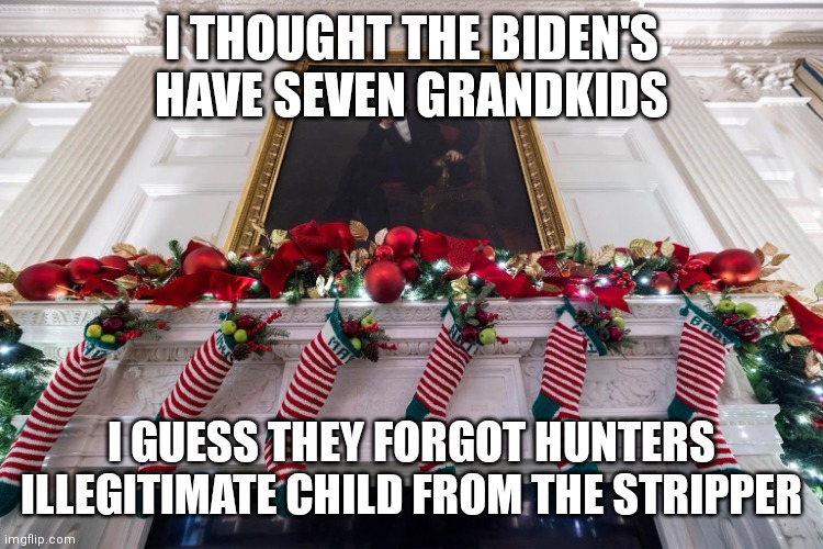 Biden Whitehouse | I THOUGHT THE BIDEN'S HAVE SEVEN GRANDKIDS; I GUESS THEY FORGOT HUNTERS ILLEGITIMATE CHILD FROM THE STRIPPER | image tagged in biden whitehouse | made w/ Imgflip meme maker